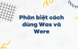 Khi nào dùng Was, Were? Chủ điểm ngữ pháp tiếng Anh cơ bản