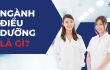 Ngành điều dưỡng là gì? Tổng quan và cơ hội nghề nghiệp