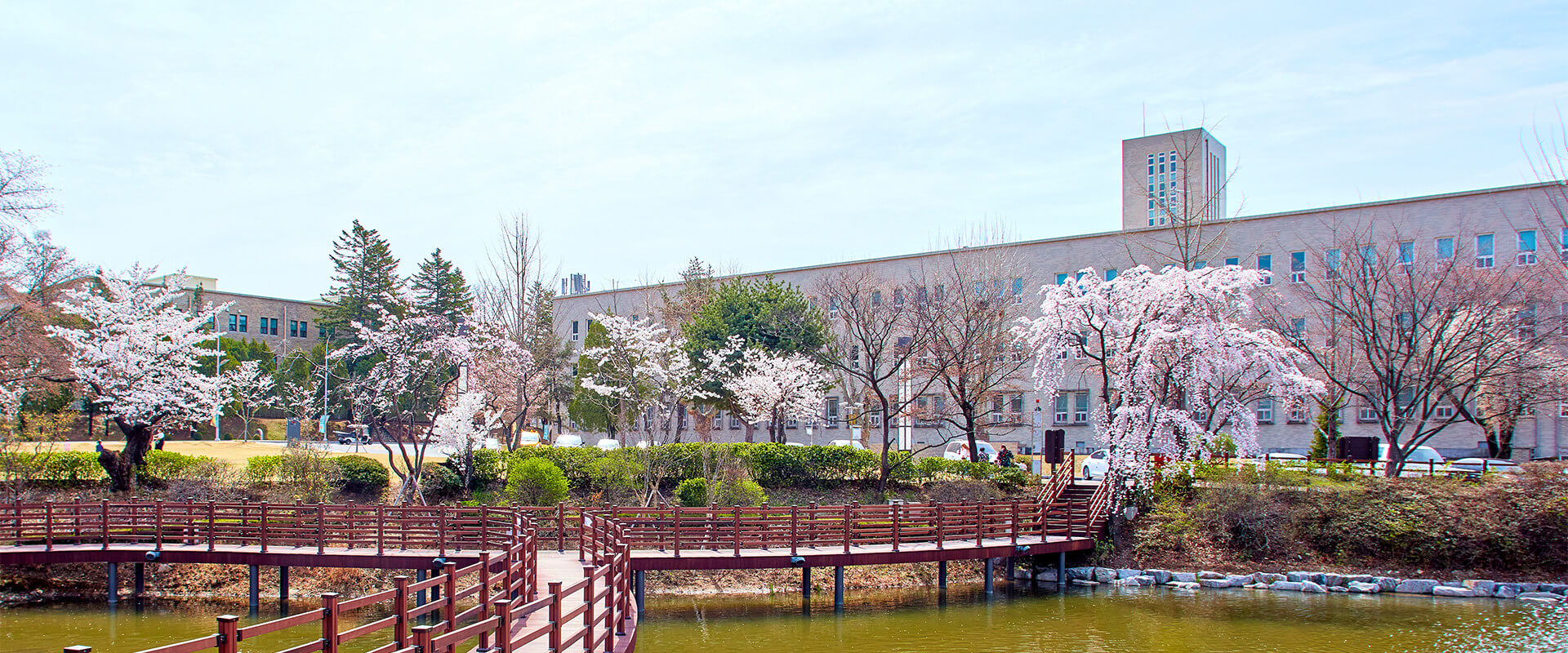 seoultech-hoc-bong-he-tieng-anh