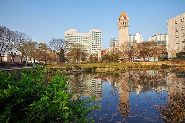 dai-hoc-sejong-hoc-bong-he-tieng-anh